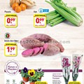 Antevisão Folheto ALDI Promoções a partir de 29 janeiro p10019.jpg